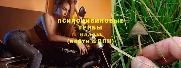 герыч Абаза