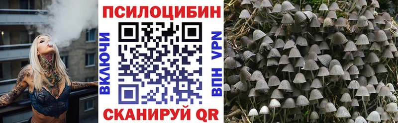 как найти наркотики  Электросталь  Галлюциногенные грибы MAGIC MUSHROOMS 